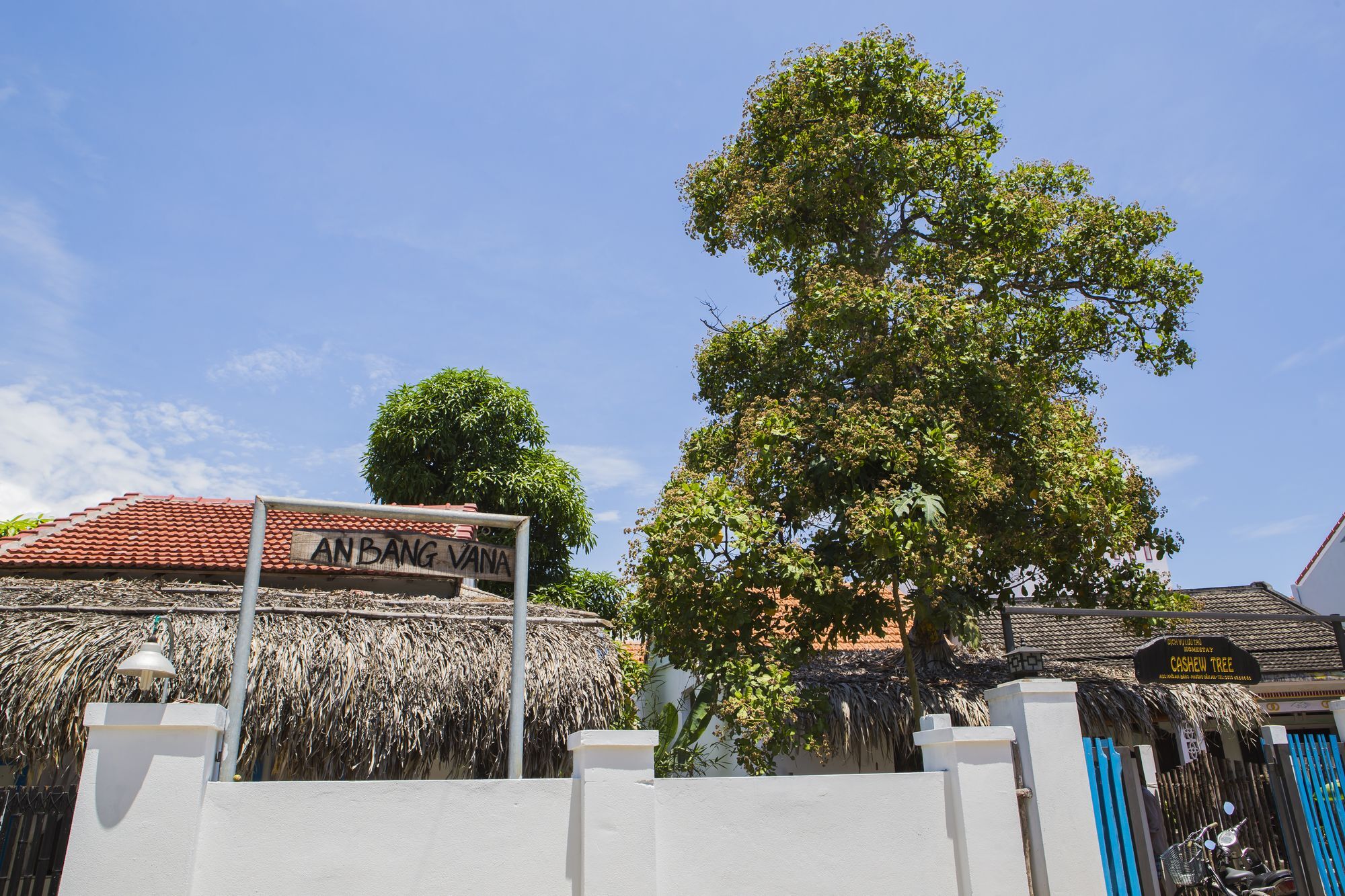 Cashew Tree Bungalow Hoi An Bagian luar foto