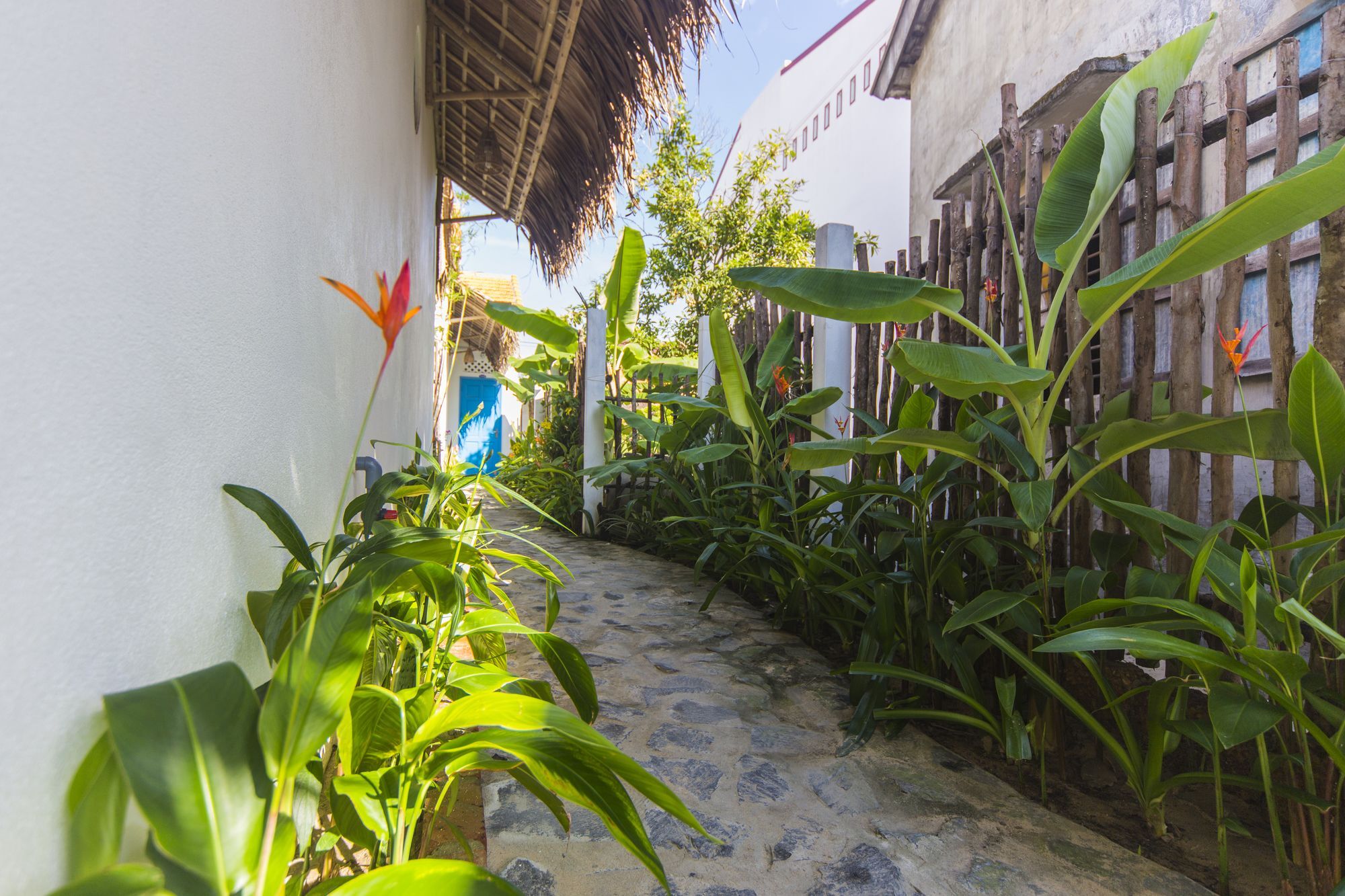 Cashew Tree Bungalow Hoi An Bagian luar foto