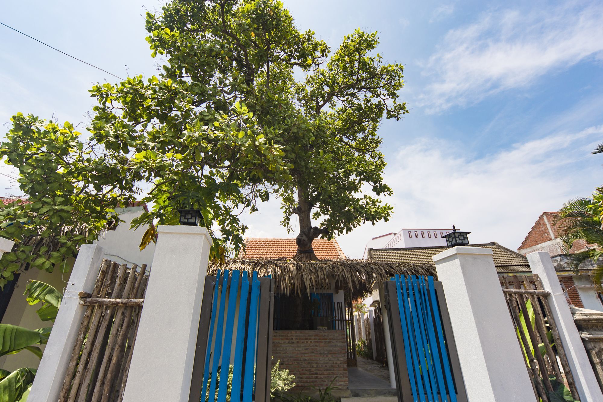 Cashew Tree Bungalow Hoi An Bagian luar foto